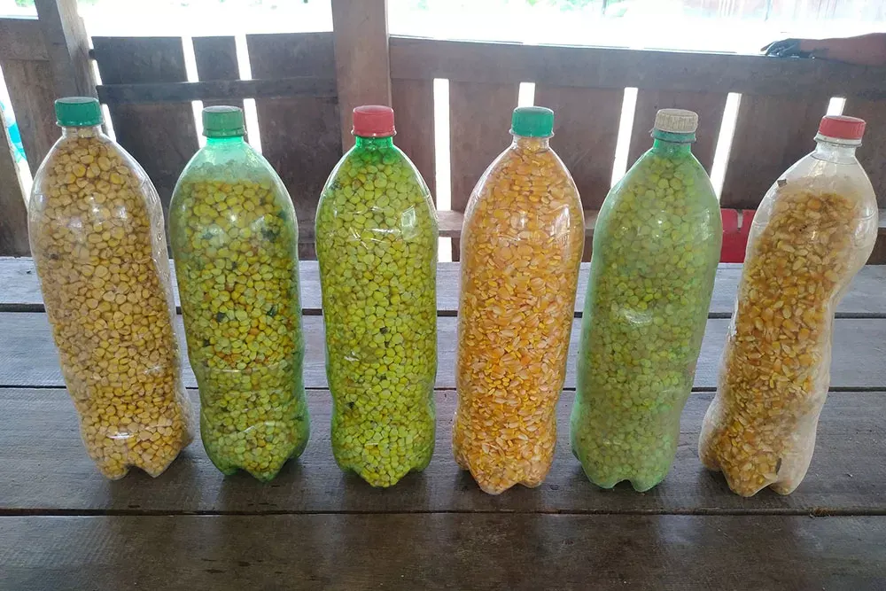 Bottles of seeds collected in the forest