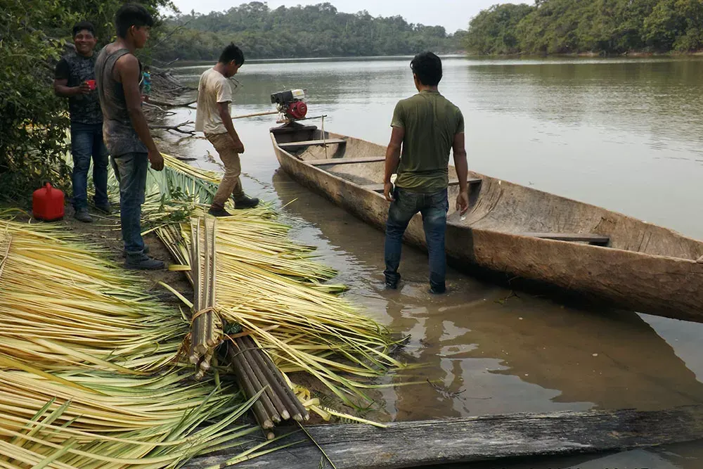 A canoe on the river loaded with babassu thatch